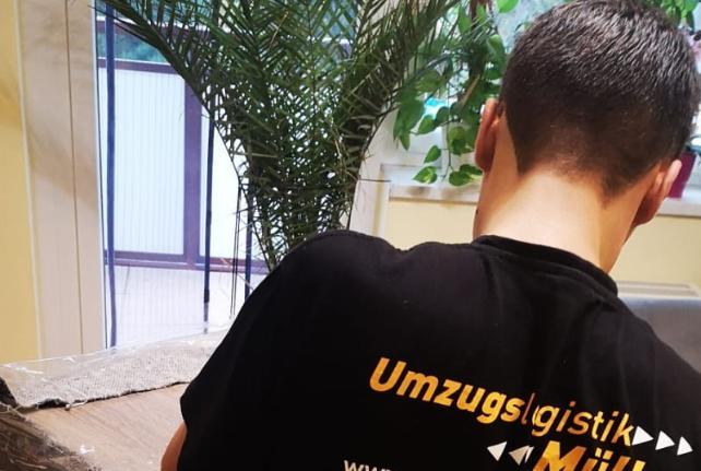 Laborumzug Heidenau stressfrei umziehen 